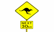 kangaroos for the next 30km
