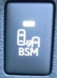 blind spot monitoring button