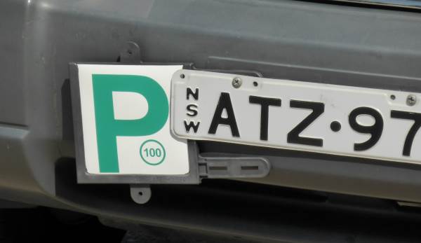 P2 plate