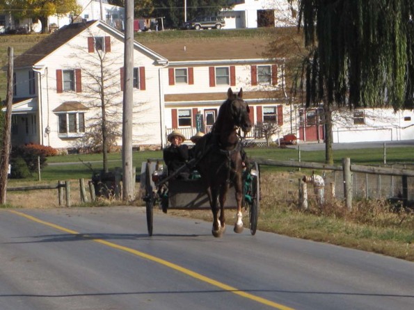 horse and buggy