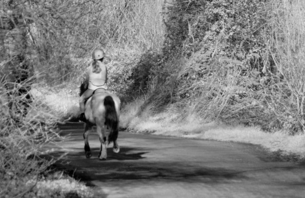 Horse and rider taking up a large proportion of a single-laned road