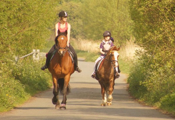 horses two abreast