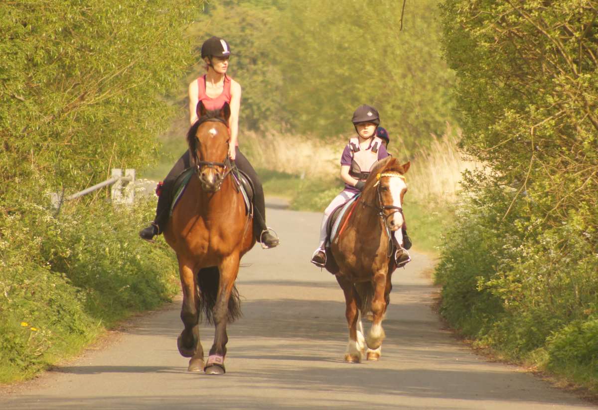Road Signs Quiz >> Driving around horses Road Signs Quiz >> Driving around horses