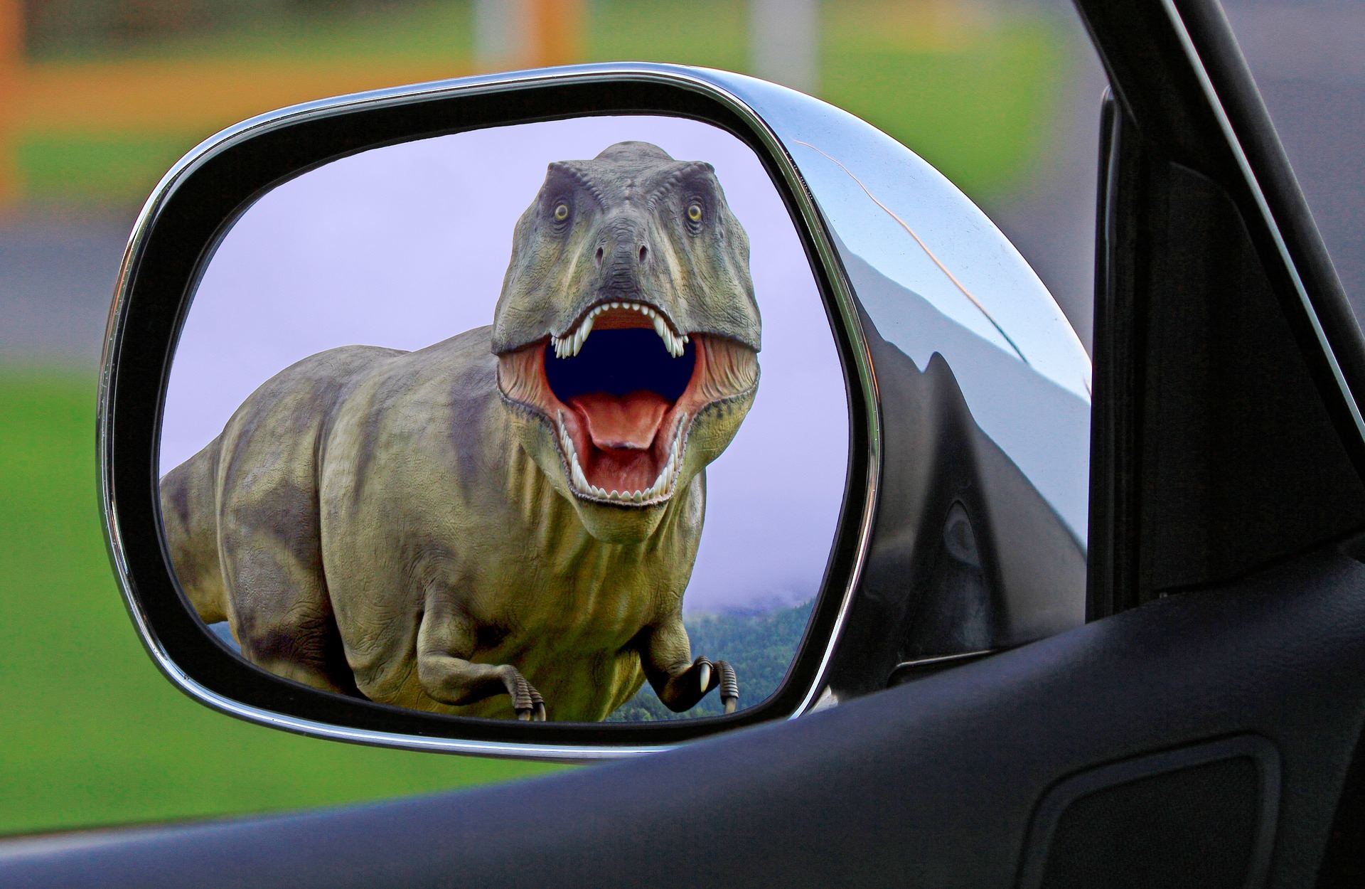 google mirror t rex